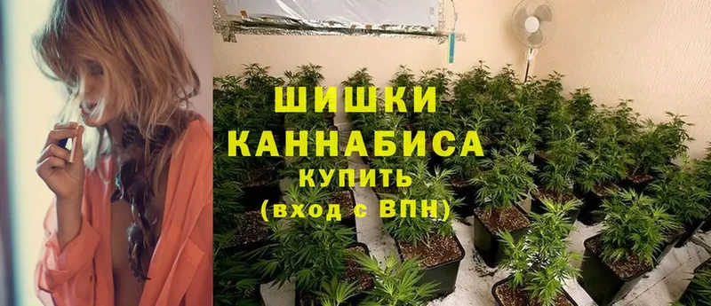 Конопля White Widow  Раменское 